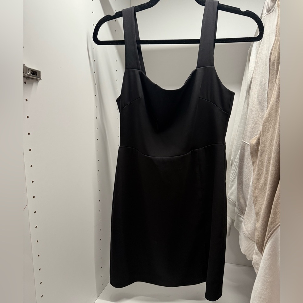 Aritzia Dress